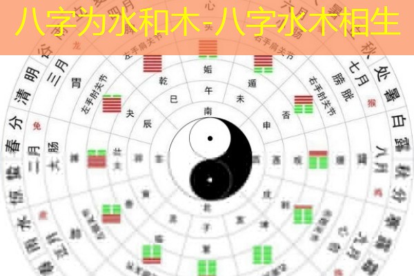  八字为水和木-八字水木相生