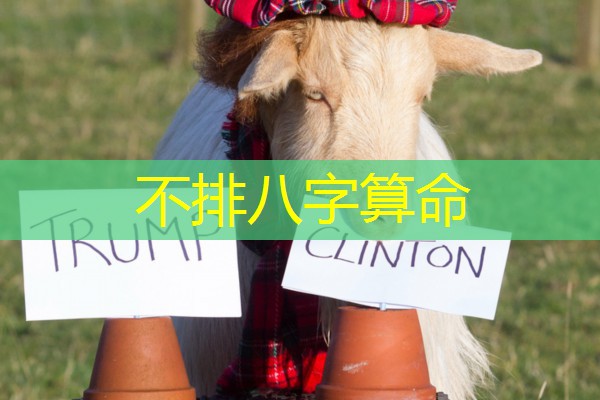  不排八字算命
