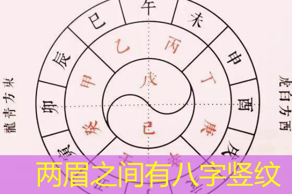  两眉之间有八字竖纹