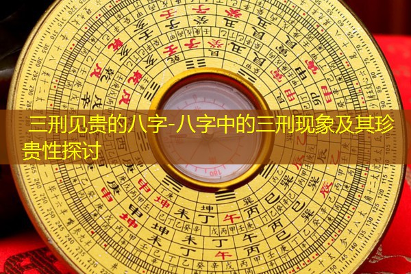  三刑见贵的八字-八字中的三刑现象及其珍贵性探讨