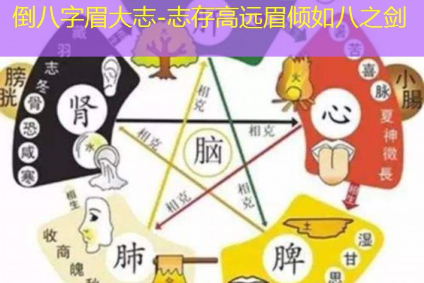  倒八字眉大志-志存高远眉倾如八之剑