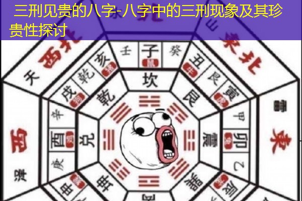 三刑见贵的八字-八字中的三刑现象及其珍贵性探讨