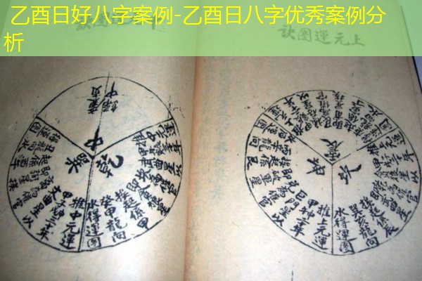  乙酉日好八字案例-乙酉日八字优秀案例分析