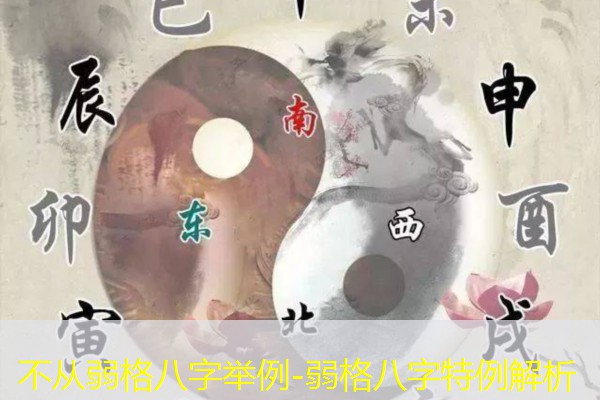  不从弱格八字举例-弱格八字特例解析