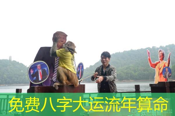  免费八字大运流年算命