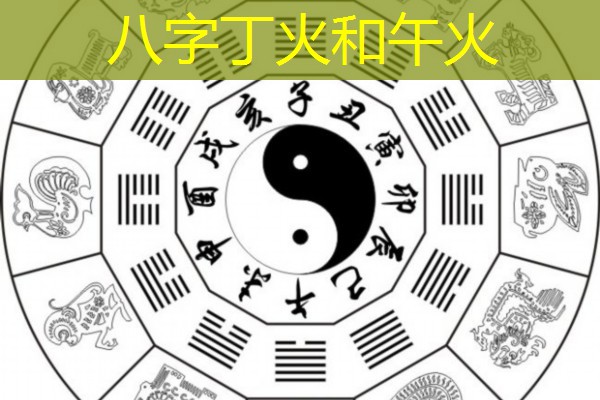  八字丁火和午火