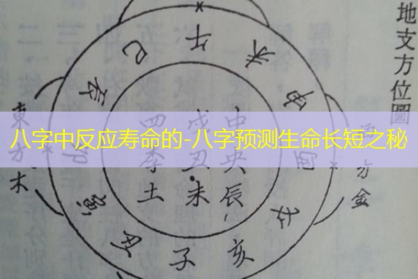  八字中反应寿命的-八字预测生命长短之秘