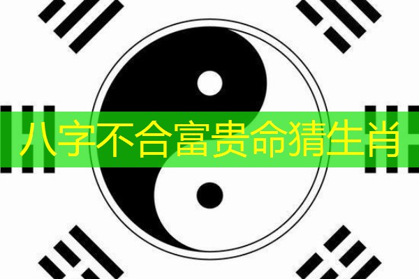  八字不合富贵命猜生肖