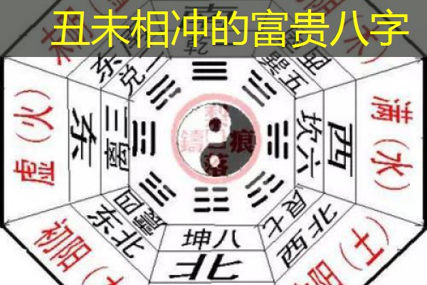  丑未相冲的富贵八字