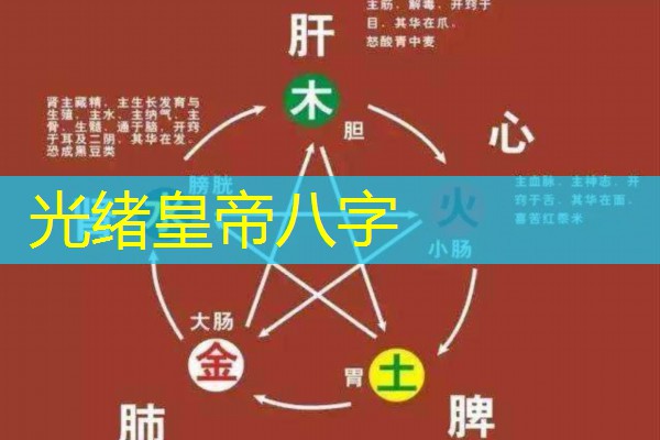  光绪皇帝八字