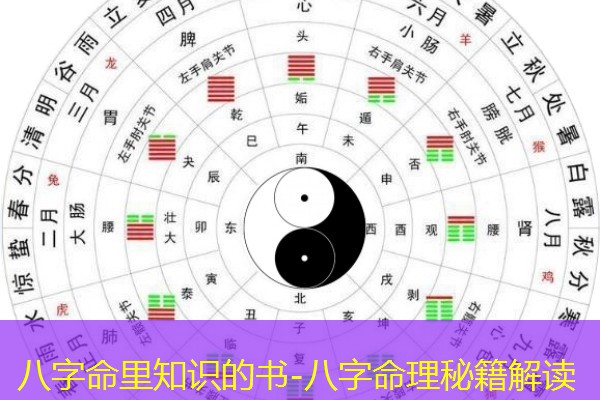  八字命里知识的书-八字命理秘籍解读
