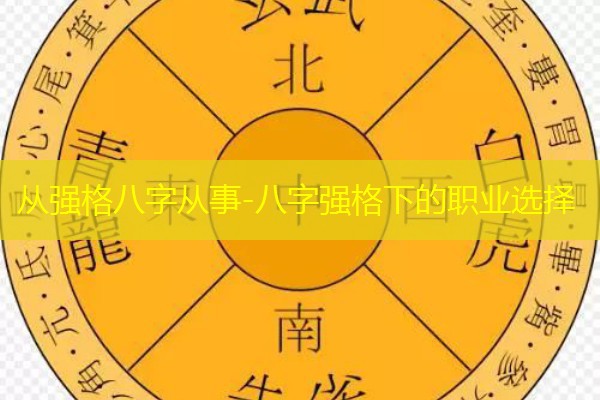  从强格八字从事-八字强格下的职业选择