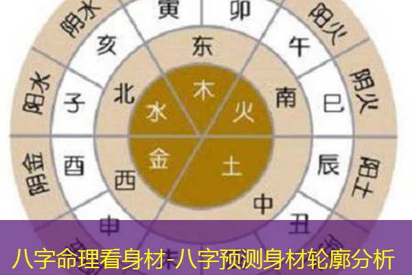  八字命理看身材-八字预测身材轮廓分析