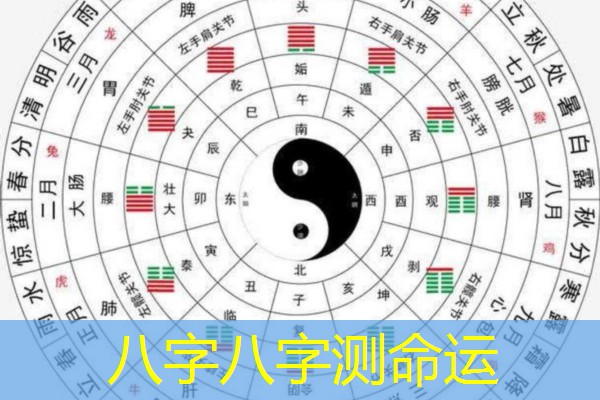  八字八字测命运
