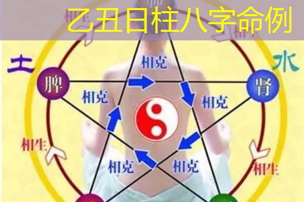  乙丑日柱八字命例