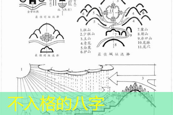  不入格的八字