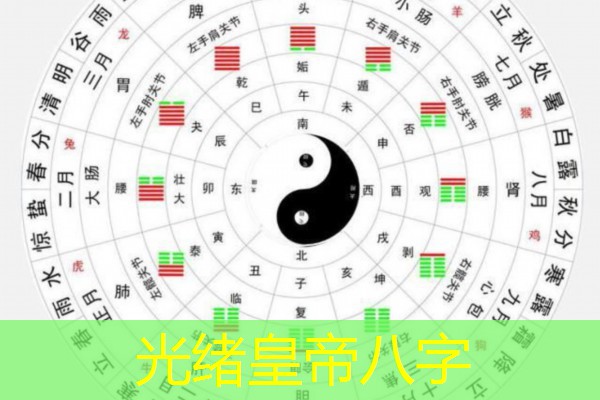 光绪皇帝八字