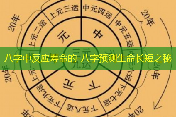  八字中反应寿命的-八字预测生命长短之秘