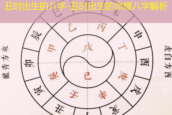  丑时出生的八字-丑时出生的命理八字解析