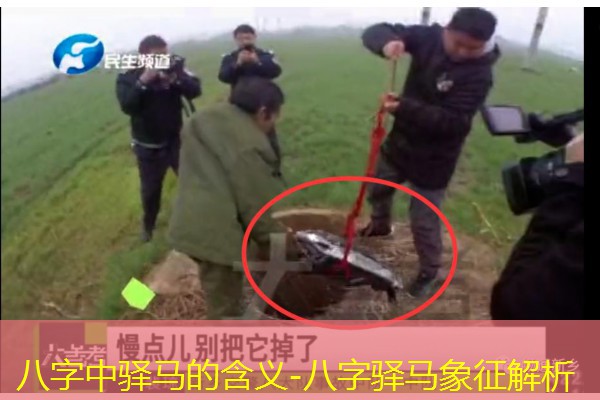  八字中驿马的含义-八字驿马象征解析