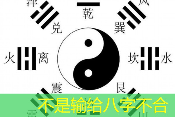  不是输给八字不合