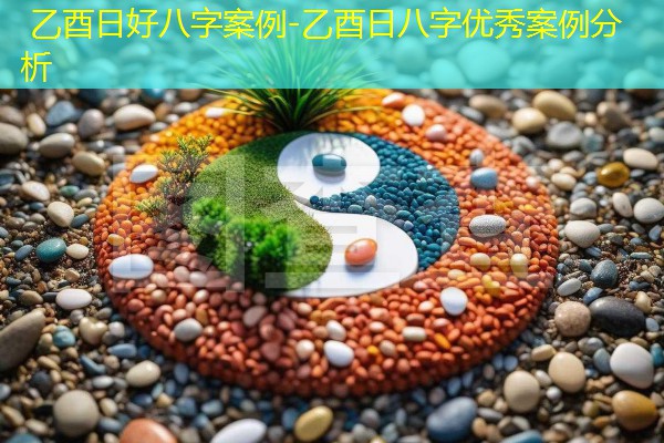  乙酉日好八字案例-乙酉日八字优秀案例分析