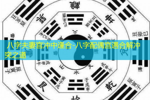  八字夫妻宫冲中逢合-八字配偶宫遇合解冲突之道