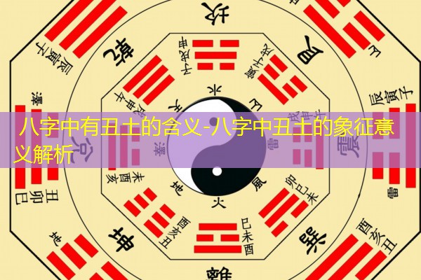  八字中有丑土的含义-八字中丑土的象征意义解析