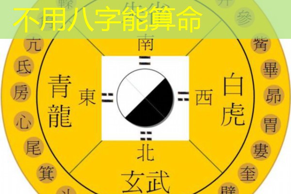  不用八字能算命