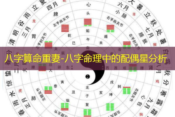  八字算命重妻-八字命理中的配偶星分析