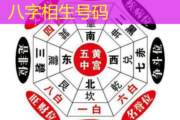  八字相生号码