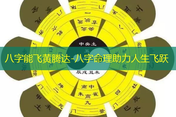  八字能飞黄腾达-八字命理助力人生飞跃