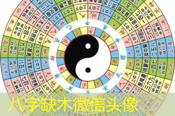  八字缺木微信头像