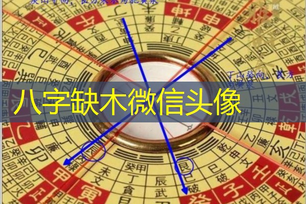  八字缺木微信头像