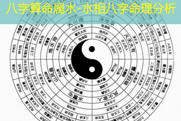  八字算命属水-水相八字命理分析