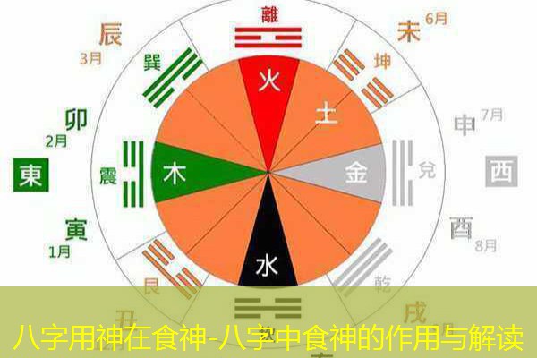  八字用神在食神-八字中食神的作用与解读