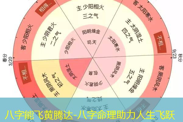  八字能飞黄腾达-八字命理助力人生飞跃