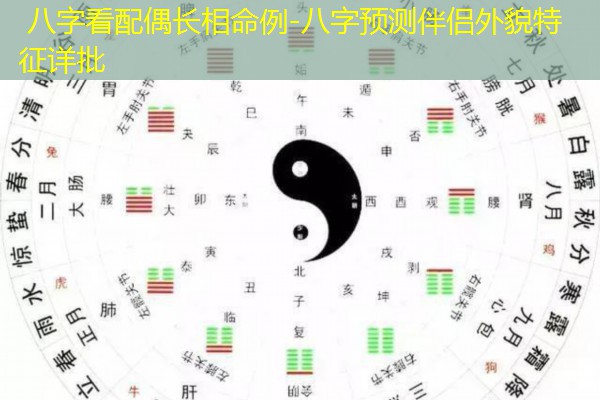  八字看配偶长相命例-八字预测伴侣外貌特征详批
