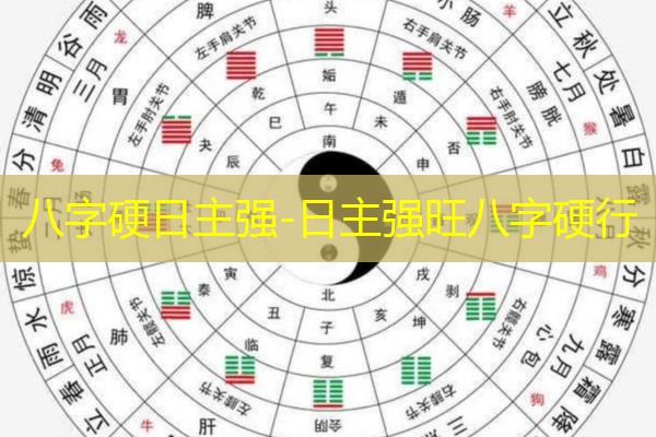  八字硬日主强-日主强旺八字硬行