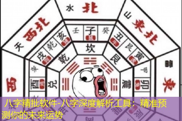  八字精批软件-八字深度解析工具：精准预测你的未来运势
