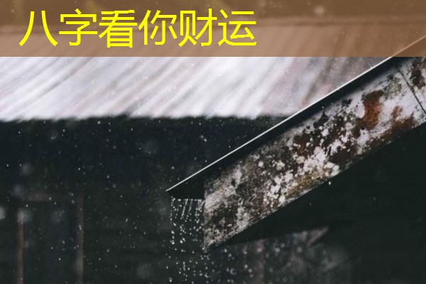  八字看你财运