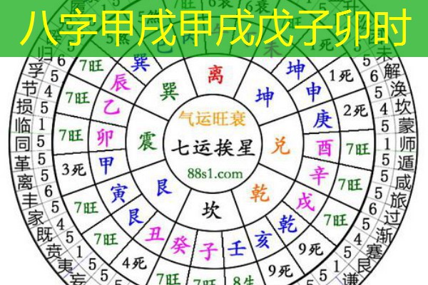  八字甲戌甲戌戊子卯时