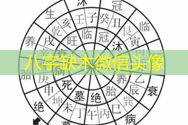  八字缺木微信头像
