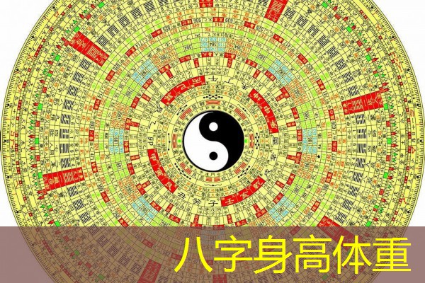  八字身高体重