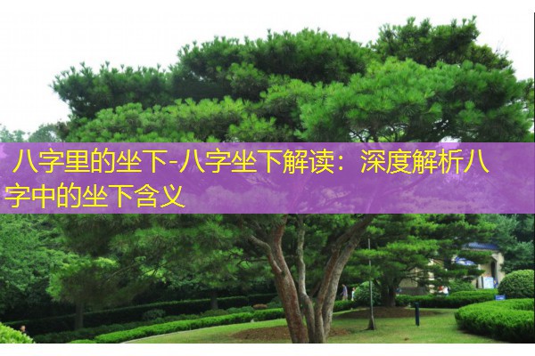  八字里的坐下-八字坐下解读：深度解析八字中的坐下含义