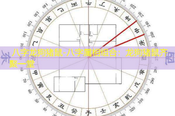  八字龙狗猪鼠-八字属相组合：龙狗猪鼠齐聚一堂