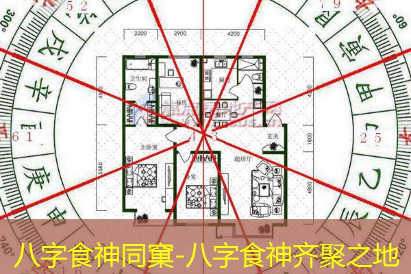  八字食神同窠-八字食神齐聚之地