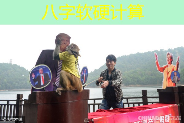  八字软硬计算