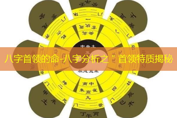  八字首领的命-八字分析之＂首领特质揭秘