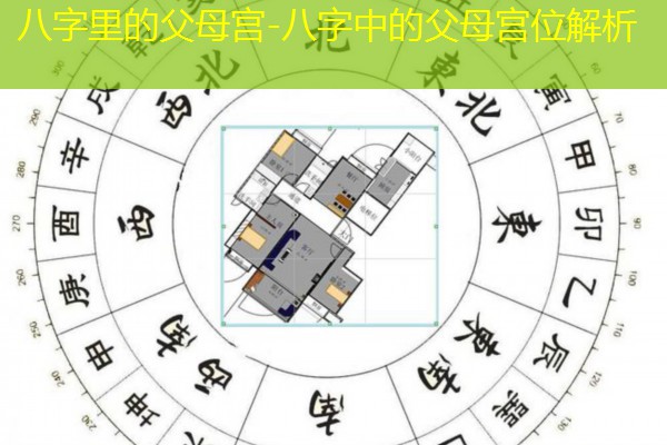  八字里的父母宫-八字中的父母宫位解析